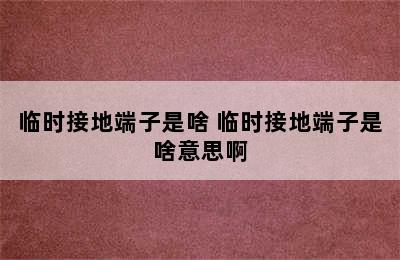 临时接地端子是啥 临时接地端子是啥意思啊